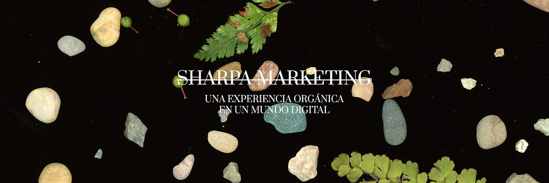 Sharpa Marketing cover